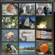 Illustration for article titled Screenshots of ACCESS Linux Platform (The Next Gen Linux-Based Palm Treo OS?)